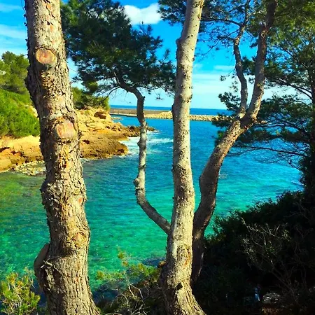 La Perla De La Ostra * Platja de l’Almadrava (Playa de la Almadraba)
